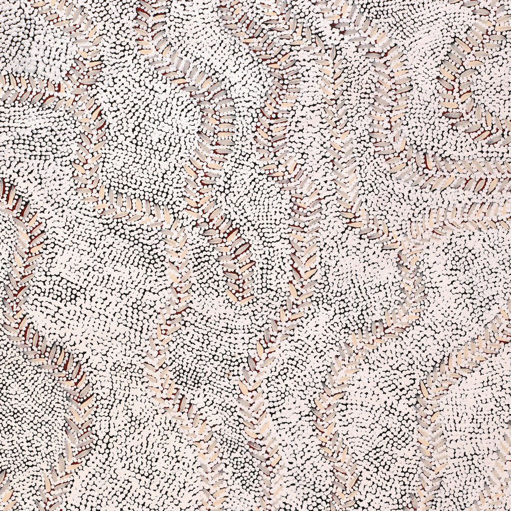 Aboriginal Artwork by Patricia Nakamarra Oldfield, Karnta Jukurrpa (Women's Dreaming) - Bush Medicine, 122x46cm