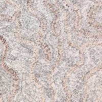 Aboriginal Artwork by Patricia Nakamarra Oldfield, Karnta Jukurrpa (Women's Dreaming) - Bush Medicine, 122x46cm