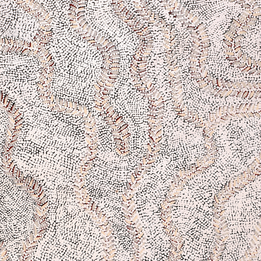 Aboriginal Artwork by Patricia Nakamarra Oldfield, Karnta Jukurrpa (Women's Dreaming) - Bush Medicine, 122x46cm