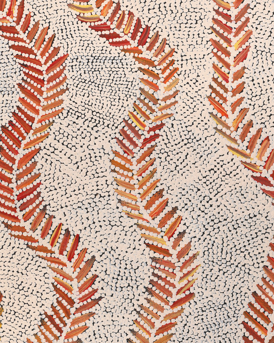 Aboriginal Artwork by Patricia Nakamarra Oldfield, Karnta Jukurrpa (Women's Dreaming) - Bush Medicine, 183x61cm