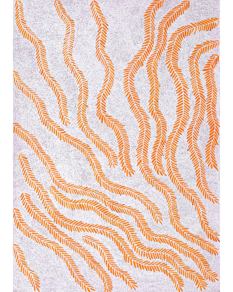 Aboriginal Artwork by Patricia Nakamarra Oldfield, Karnta Jukurrpa (Women's Dreaming) - Bush Medicine, 107x76cm