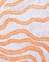 Patricia Nakamarra Oldfield, Karnta Jukurrpa (Women's Dreaming) - Bush Medicine, 107x76cm