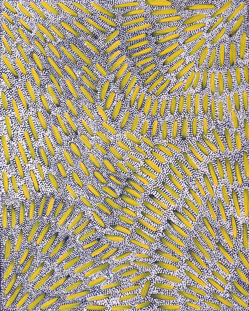 Aboriginal Artwork by Patricia Nakamarra Oldfield, Warna Jukurrpa (Snake Dreaming), 50x40cm