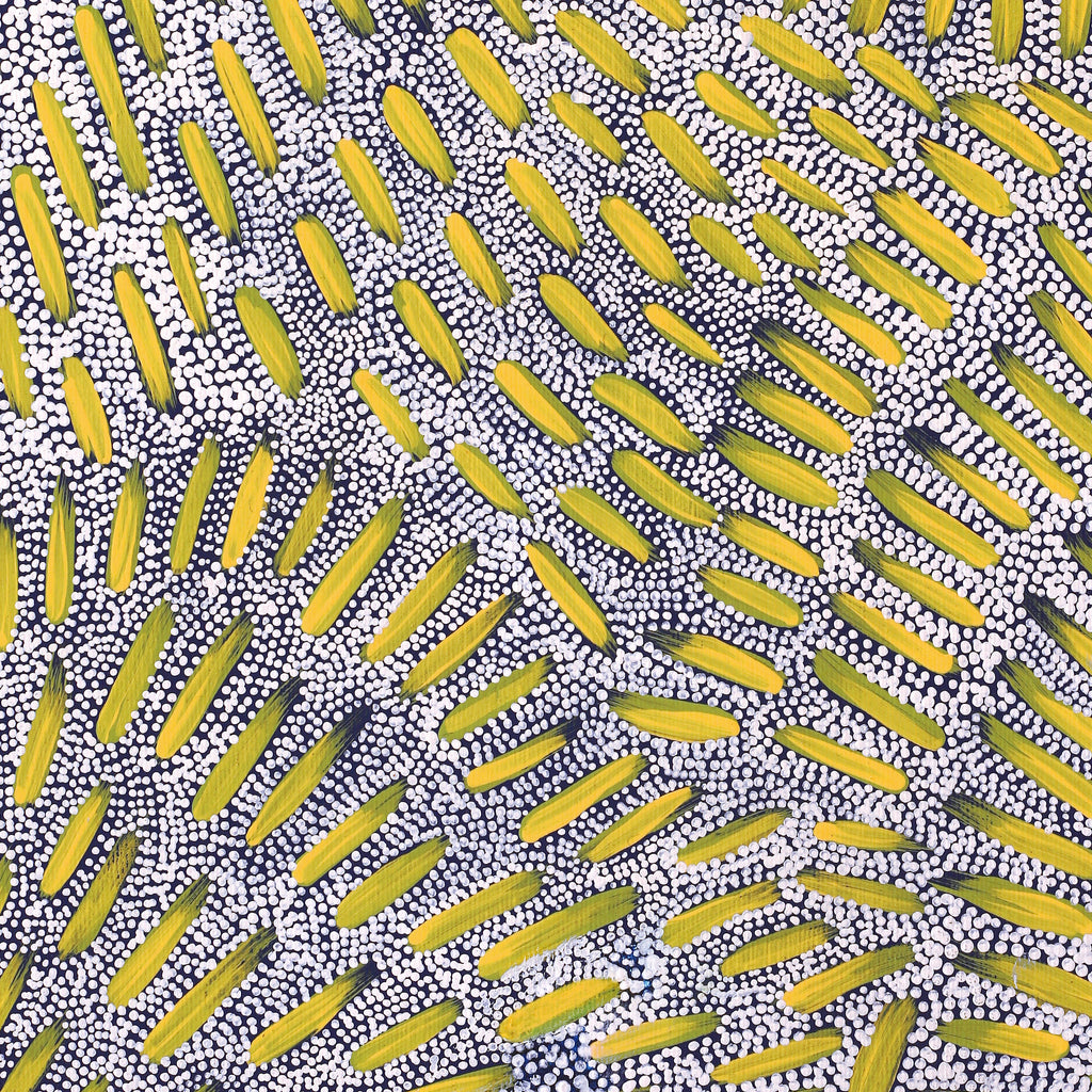 Aboriginal Artwork by Patricia Nakamarra Oldfield, Warna Jukurrpa (Snake Dreaming), 50x40cm