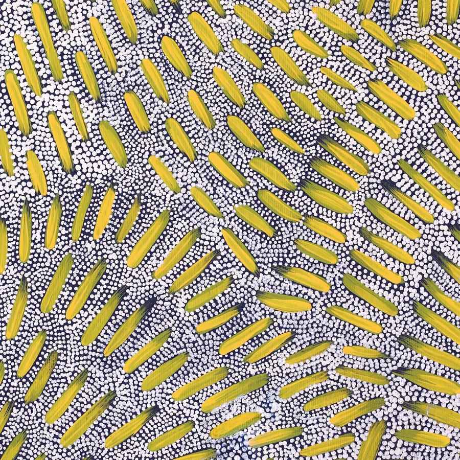Aboriginal Artwork by Patricia Nakamarra Oldfield, Warna Jukurrpa (Snake Dreaming), 50x40cm