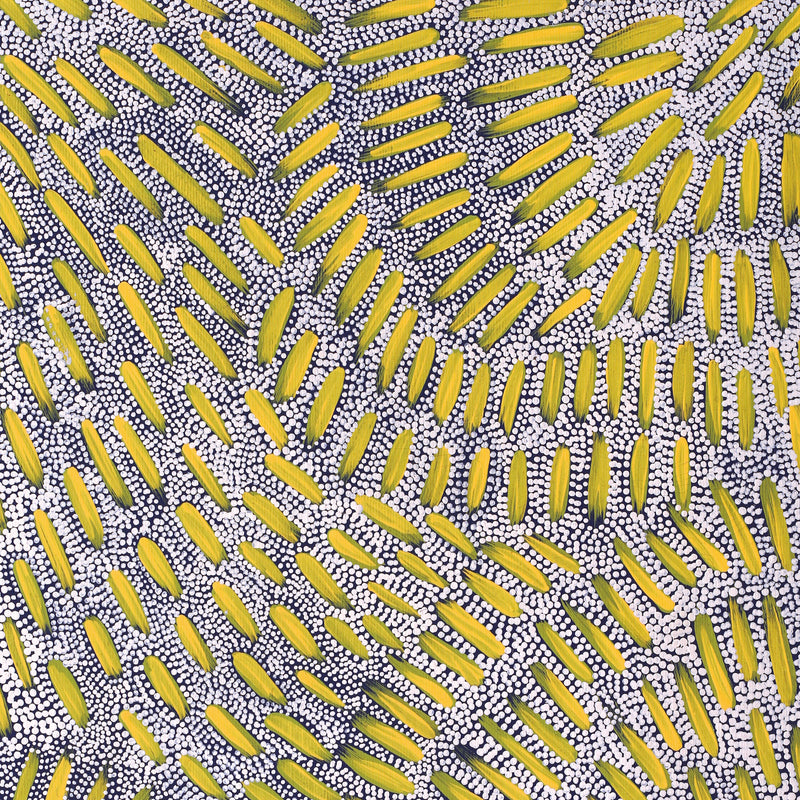 Aboriginal Artwork by Patricia Nakamarra Oldfield, Warna Jukurrpa (Snake Dreaming), 50x40cm
