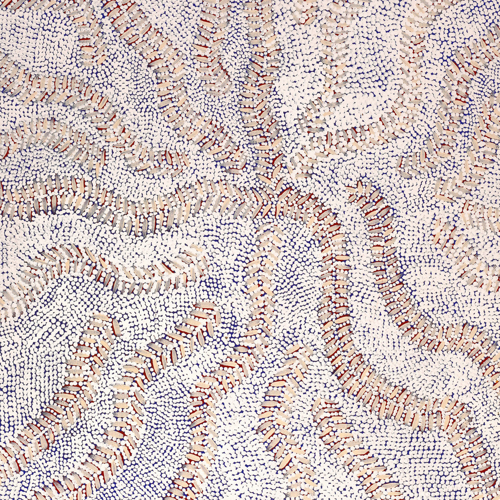 Aboriginal Artwork by Patricia Nakamarra Oldfield, Karnta Jukurrpa (Women's Dreaming) - Bush Medicine, 61x46cm