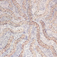 Aboriginal Artwork by Patricia Nakamarra Oldfield, Karnta Jukurrpa (Women's Dreaming) - Bush Medicine, 61x46cm
