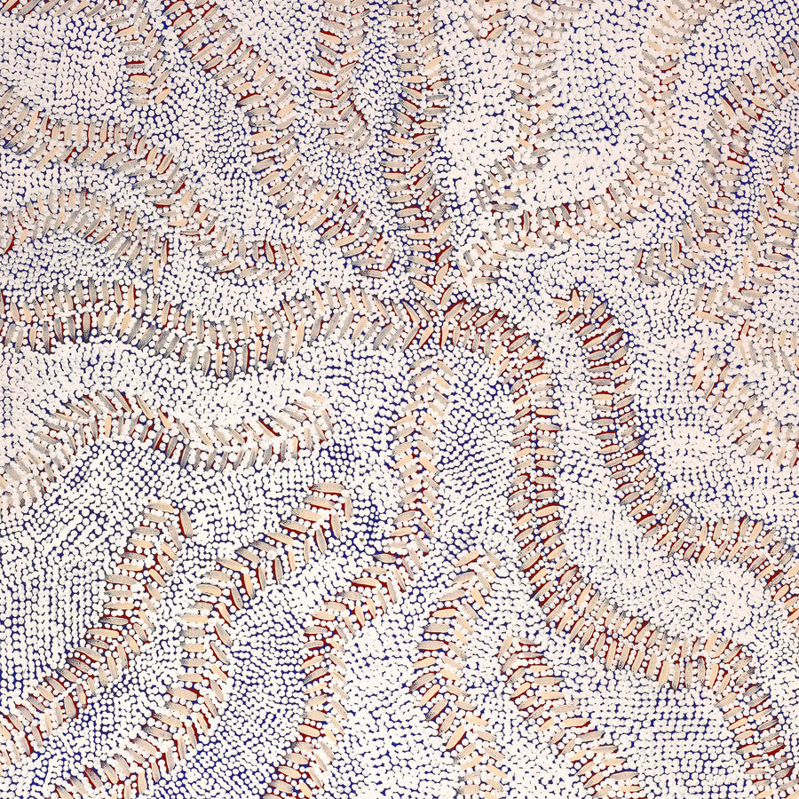 Aboriginal Artwork by Patricia Nakamarra Oldfield, Karnta Jukurrpa (Women's Dreaming) - Bush Medicine, 61x46cm