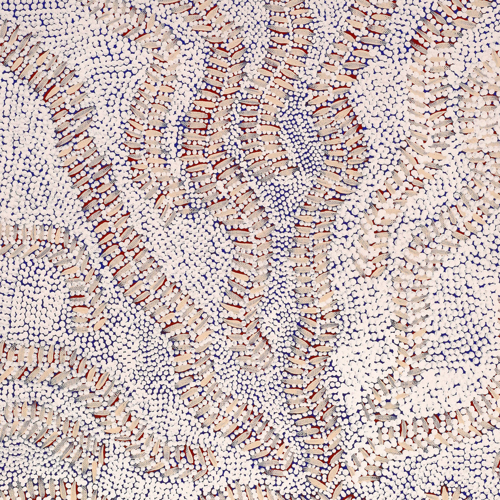 Aboriginal Artwork by Patricia Nakamarra Oldfield, Karnta Jukurrpa (Women's Dreaming) - Bush Medicine, 61x46cm