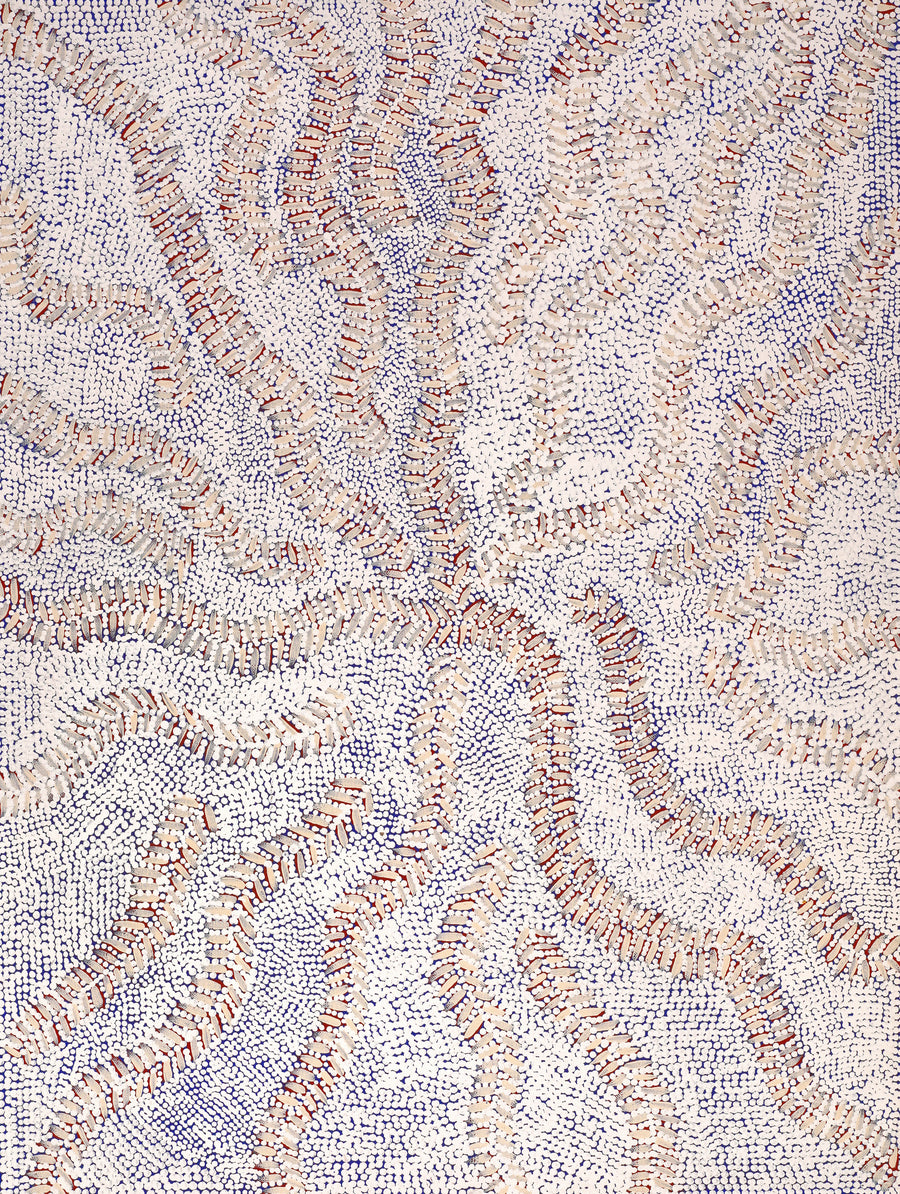 Aboriginal Artwork by Patricia Nakamarra Oldfield, Karnta Jukurrpa (Women's Dreaming) - Bush Medicine, 61x46cm