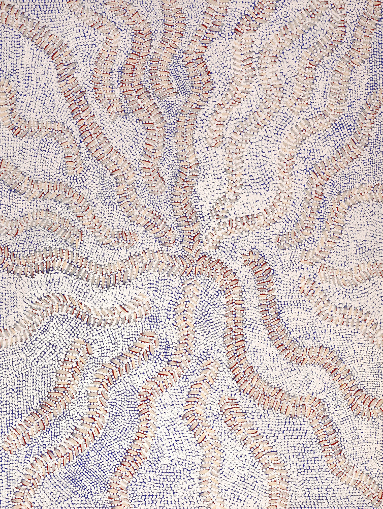 Aboriginal Artwork by Patricia Nakamarra Oldfield, Karnta Jukurrpa (Women's Dreaming) - Bush Medicine, 61x46cm