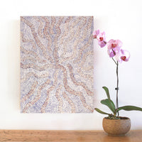 Aboriginal Artwork by Patricia Nakamarra Oldfield, Karnta Jukurrpa (Women's Dreaming) - Bush Medicine, 61x46cm