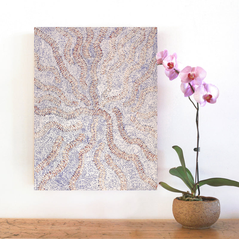 Aboriginal Artwork by Patricia Nakamarra Oldfield, Karnta Jukurrpa (Women's Dreaming) - Bush Medicine, 61x46cm