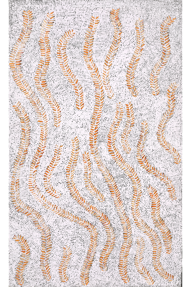 Aboriginal Artwork by Patricia Nakamarra Oldfield, Karnta Jukurrpa (Women's Dreaming) - Bush Medicine, 76x46cm