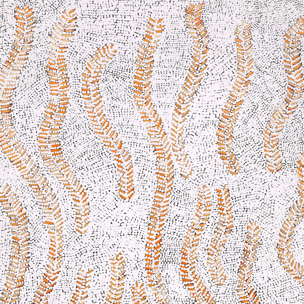 Aboriginal Artwork by Patricia Nakamarra Oldfield, Karnta Jukurrpa (Women's Dreaming) - Bush Medicine, 76x46cm