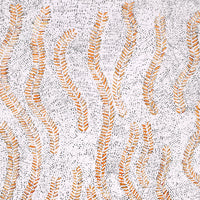 Aboriginal Artwork by Patricia Nakamarra Oldfield, Karnta Jukurrpa (Women's Dreaming) - Bush Medicine, 76x46cm
