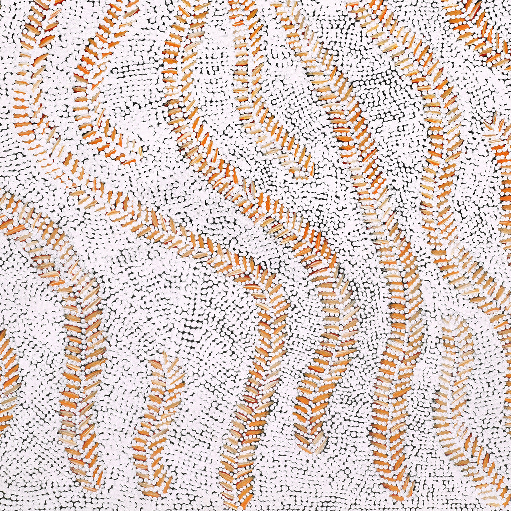 Aboriginal Artwork by Patricia Nakamarra Oldfield, Karnta Jukurrpa (Women's Dreaming) - Bush Medicine, 76x46cm