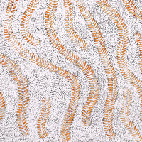 Aboriginal Artwork by Patricia Nakamarra Oldfield, Karnta Jukurrpa (Women's Dreaming) - Bush Medicine, 76x46cm