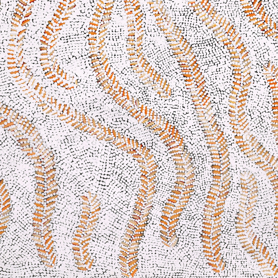 Aboriginal Artwork by Patricia Nakamarra Oldfield, Karnta Jukurrpa (Women's Dreaming) - Bush Medicine, 76x46cm