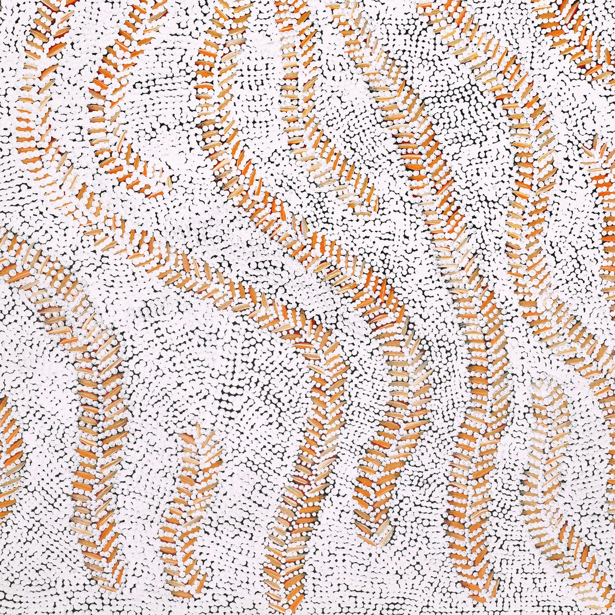 Aboriginal Art by Patricia Nakamarra Oldfield, Karnta Jukurrpa (Women's Dreaming) - Bush Medicine, 76x46cm - ART ARK®