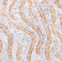 Aboriginal Art by Patricia Nakamarra Oldfield, Karnta Jukurrpa (Women's Dreaming) - Bush Medicine, 76x46cm - ART ARK®