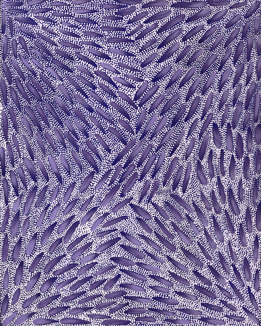 Aboriginal Artwork by Patricia Nakamarra Oldfield, Warna Jukurrpa (Snake Dreaming), 50x40cm