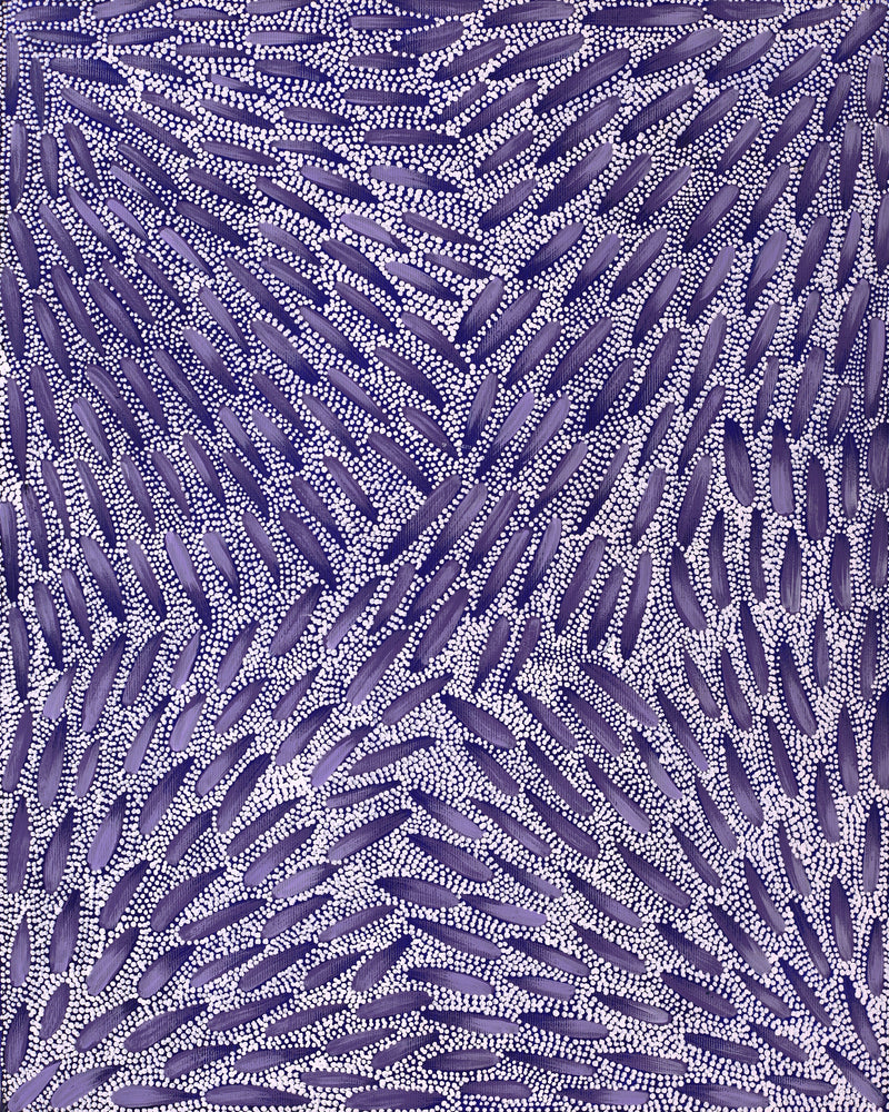 Aboriginal Artwork by Patricia Nakamarra Oldfield, Warna Jukurrpa (Snake Dreaming), 50x40cm