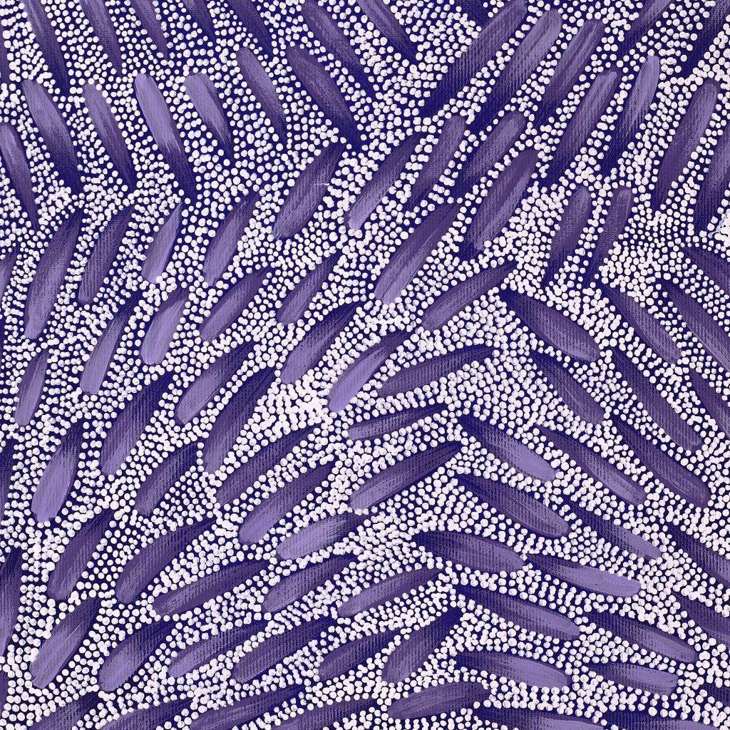 Aboriginal Artwork by Patricia Nakamarra Oldfield, Warna Jukurrpa (Snake Dreaming), 50x40cm