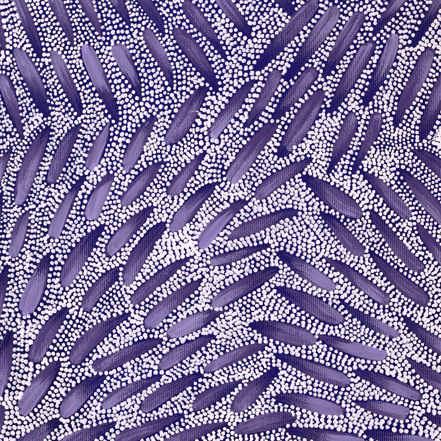 Aboriginal Artwork by Patricia Nakamarra Oldfield, Warna Jukurrpa (Snake Dreaming), 50x40cm
