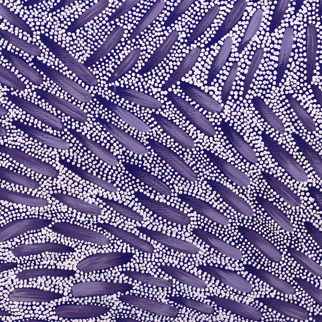 Aboriginal Artwork by Patricia Nakamarra Oldfield, Warna Jukurrpa (Snake Dreaming), 50x40cm