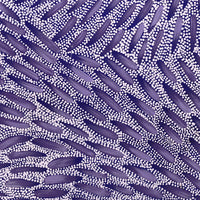 Aboriginal Artwork by Patricia Nakamarra Oldfield, Warna Jukurrpa (Snake Dreaming), 50x40cm