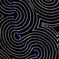 Aboriginal Artwork by Patrick Japangardi Williams, Mina Mina Jukurrpa (Mina Mina Dreaming), 122x107cm
