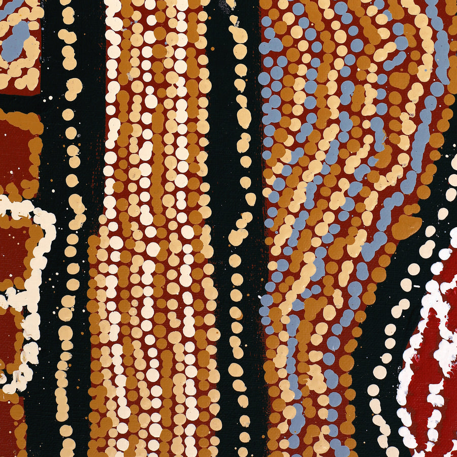 Aboriginal Artwork by Tjutjuna Paul Andy, Kalaya Tjukurpa, 152x122cm