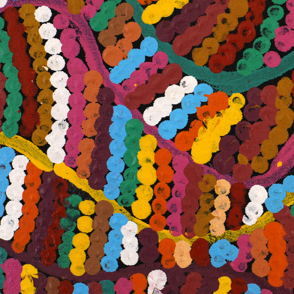 Aboriginal Artwork by Pauline Bunwarrie, Nyangamarta Country, 56x56cm