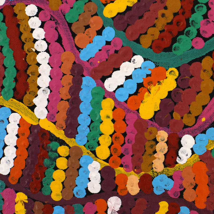 Aboriginal Artwork by Pauline Bunwarrie, Nyangamarta Country, 56x56cm