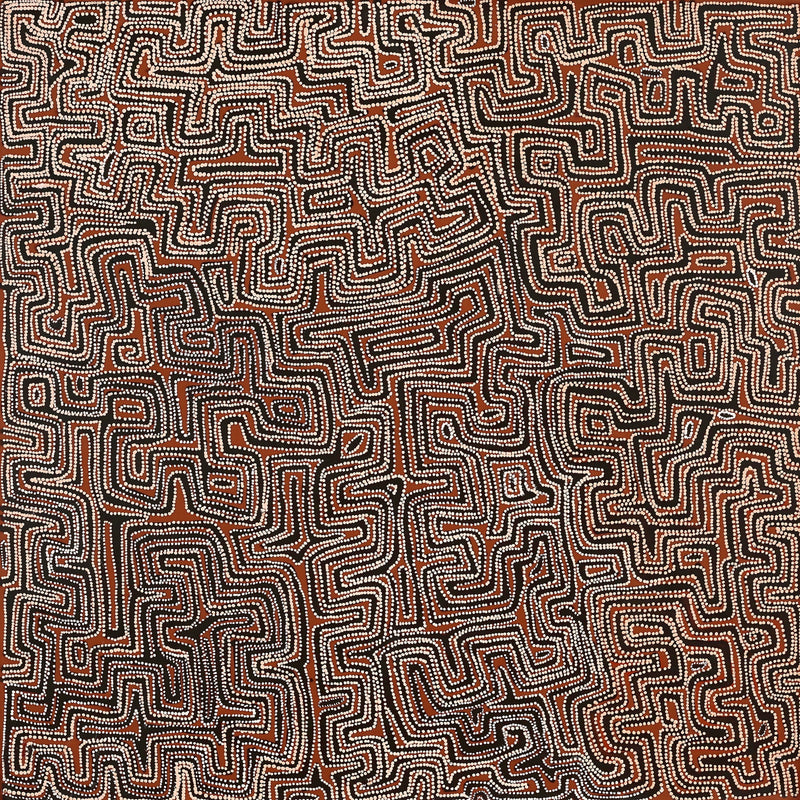 Aboriginal Artwork by Pauline Napangardi Gallagher, Lukarrara Jukurrpa, 107x107cm