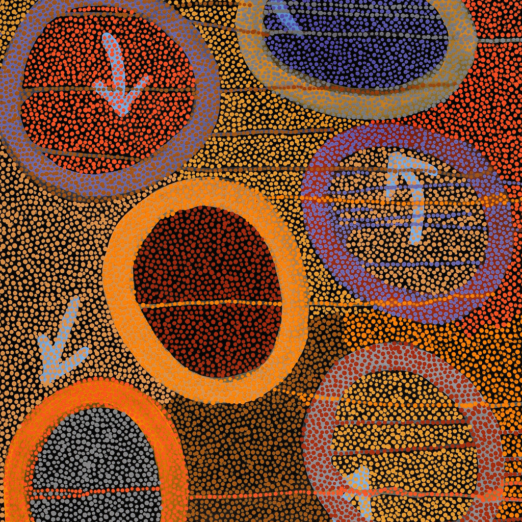 Aboriginal Artwork by Pauline Nampijinpa Singleton, Yankirri Jukurrpa (Emu Dreaming) - Ngarlikurlangu, 107x61cm