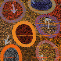 Aboriginal Artwork by Pauline Nampijinpa Singleton, Yankirri Jukurrpa (Emu Dreaming) - Ngarlikurlangu, 107x61cm