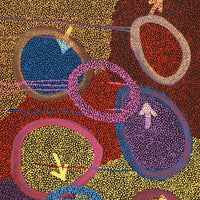 Aboriginal Artwork by Pauline Nampijinpa Singleton, Yankirri Jukurrpa (Emu Dreaming) - Ngarlikurlangu, 122x61cm