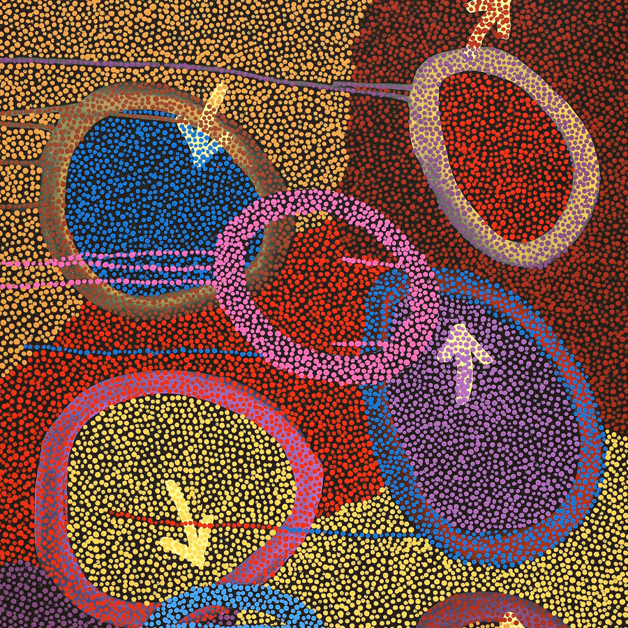 Aboriginal Artwork by Pauline Nampijinpa Singleton, Yankirri Jukurrpa (Emu Dreaming) - Ngarlikurlangu, 122x61cm