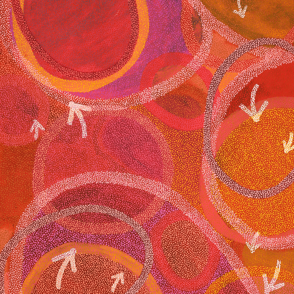 Aboriginal Artwork by Pauline Nampijinpa Singleton, Yankirri Jukurrpa (Emu Dreaming) - Ngarlikurlangu, 182x122cm