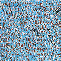 Aboriginal Artwork by Peggy Nampijinpa Brown, Warlukurlangu Jukurrpa (Fire country Dreaming), 61x30cm