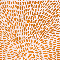 Aboriginal Artwork by Peggy Nampijinpa Brown, Warlukurlangu Jukurrpa (Fire country Dreaming), 76x46cm