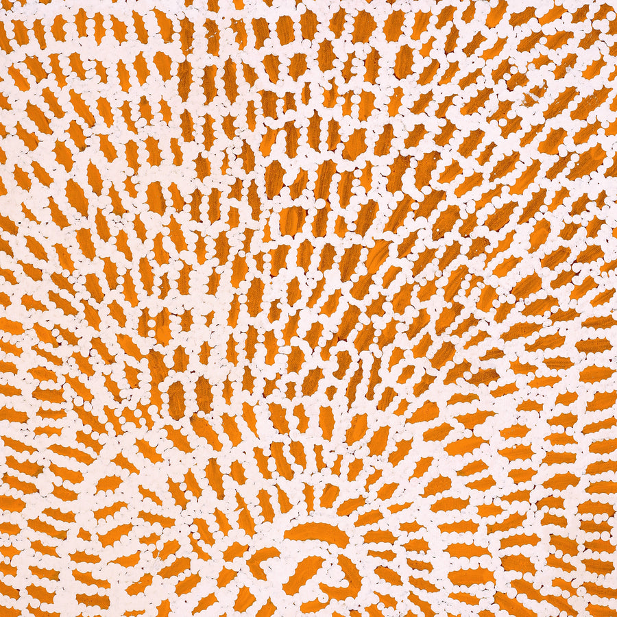 Aboriginal Artwork by Peggy Nampijinpa Brown, Warlukurlangu Jukurrpa (Fire country Dreaming), 76x46cm