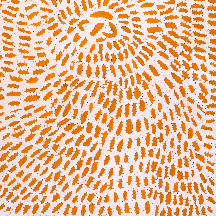 Aboriginal Artwork by Peggy Nampijinpa Brown, Warlukurlangu Jukurrpa (Fire country Dreaming), 76x46cm