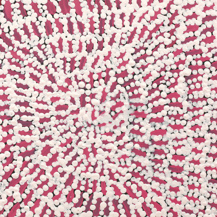 Aboriginal Artwork by Peggy Nampijinpa Brown, Warlukurlangu Jukurrpa (Fire country Dreaming), 30x30cm