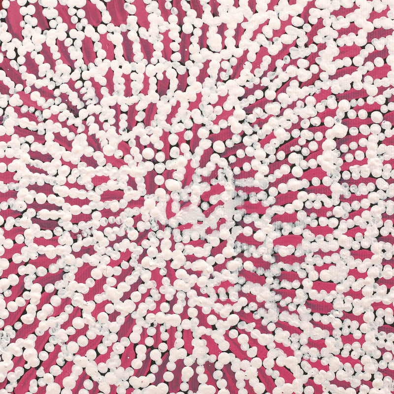 Aboriginal Artwork by Peggy Nampijinpa Brown, Warlukurlangu Jukurrpa (Fire country Dreaming), 30x30cm
