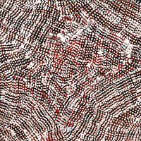 Aboriginal Artwork by Peggy Nampijinpa Brown, Warlukurlangu Jukurrpa (Fire country Dreaming), 30x30cm