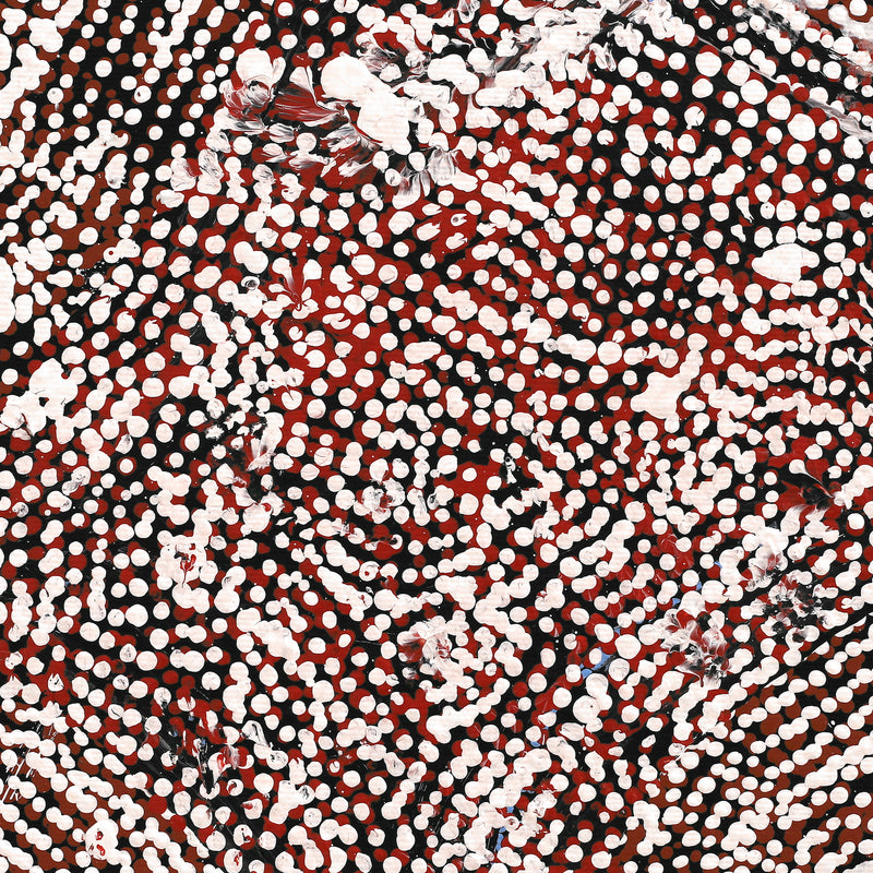 Aboriginal Artwork by Peggy Nampijinpa Brown, Warlukurlangu Jukurrpa (Fire country Dreaming), 30x30cm